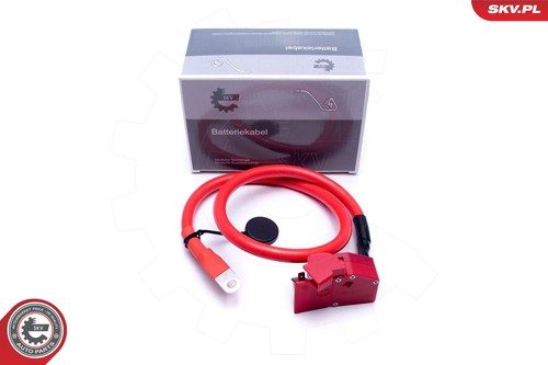 Adattatore batteria esen skv - adattatore,
