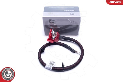 Adattatore batteria esen - batteria, skv