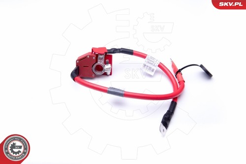 Adattatore batteria esen - esen, skv